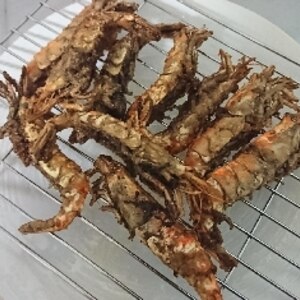 跳ねない 海老の唐揚げ レシピ 作り方 By へのつっぱりはいらんですよ 楽天レシピ 跳ねない 海老の唐揚げ レシピ 作り方 By へのつっぱりはいらんですよ 楽天レシピ